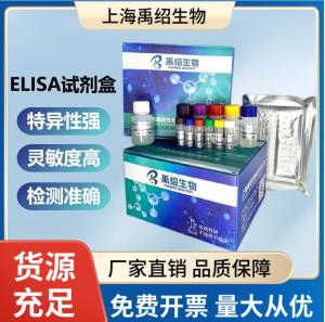 人I型原胶原N端前肽(PINP)ELISA试剂盒 产品图片