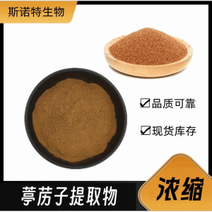 葶苈子提取物 浓缩浸膏粉 喷雾干燥 水溶好 库存现货 快递包邮
