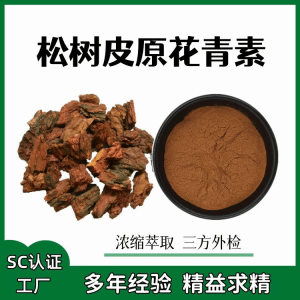 松树皮原花青素95% HPLC检测 斯诺特生物 三证齐全