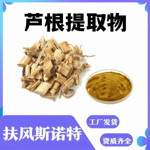 芦根提取物 鲜芦根浓缩粉 压片胶囊原料 含税含运 源头发货