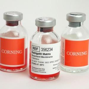  354248-Corning Matrigel 基底膜基质，高浓度 (HC)，不含LDEV，10 mL 产品图片