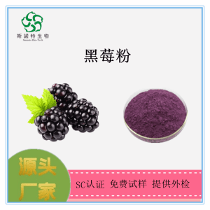 黑莓粉 黑莓提取物 黑莓膳食纤维