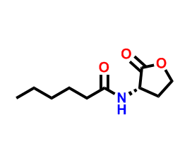 己酰-L-高丝氨酸内酯 CAS号:147852-83-3科研专用 质量保证 高校及研究所支持货到付款