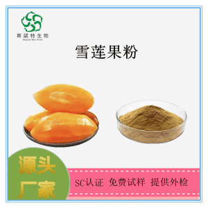 雪莲果粉 雪莲果提取物 雪莲果膳食纤维