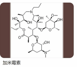 加米霉素