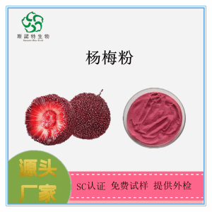 杨梅粉 杨梅提取物 杨梅膳食纤维