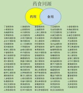 红枣叶提取物   食品原料   红枣叶粉 产品图片