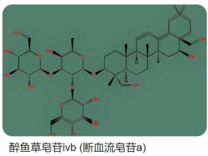 斷血流提取物 醉魚草皂苷4b 含量0.8%-1.2% 醉魚草皂苷Ⅳb 斷血流皂苷A