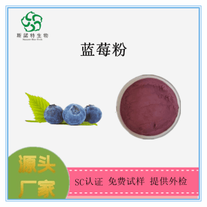 蓝莓粉 蓝莓果粉 斯诺特生物 免费试样