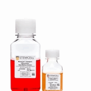 stemcell  5990 ES/iPS 细胞的无饲养层、无动物成分培养基 TeSR-E8 (480mL+20mL)/套