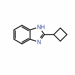 2-Cyclobutyl-1H-benzo[d]imidazole ；CAS:97968-80-4   自主生產,科研產品,高校/研究所/科研單位先發后付! 大小包裝均可,歡迎咨詢!