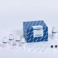 QIAGEN  51106  QIAamp DNA Blood Mini Kit 检测试剂盒 (250)