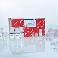 QIAGEN   80204 AllPrep DNA/RNA Mini Kit 核酸提取试剂盒 （50