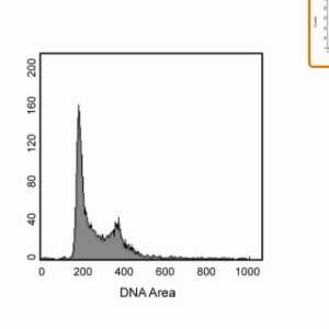 BD  550825		PI/RNase Staining Buffer 染色缓冲液