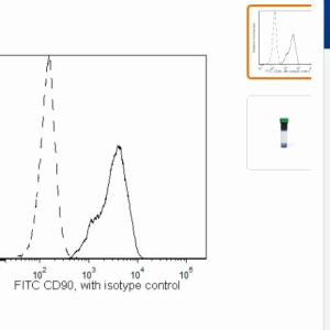 BD	  555595     CD90 FITC MAB流式抗体
