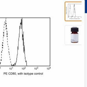 BD	  557227   HU CD80 PE 抗体