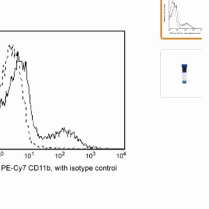 BD   557743   PE-Cy7 Mouse Anti-Human CD11b  抗体