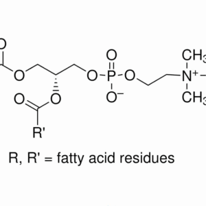 Sigma  P7443-100MG L-α-磷脂酰胆碱