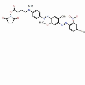 BHQ-1 琥珀酰亞胺酯； BHQ-1 NHS；CAS：916753-61-2  