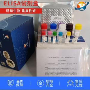 人血管内皮细胞生长因子受体3(VEGFR-3)ELISA检测试剂盒原理 产品图片