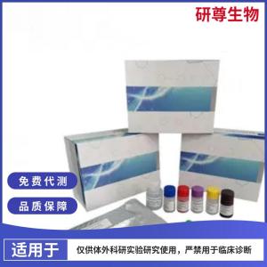 人乳腺癌易感蛋白1(BRCA-1)ELISA检测试剂盒 产品图片