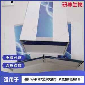 人腺病毒抗原(ADV-Ag)ELISA检测试剂盒说明书 产品图片