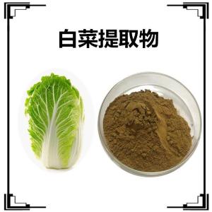 白菜提取物Cabbage extract