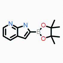 2-(4,4,5,5-四甲基-1,3,2-二氧杂硼杂环戊烷-2-基)-1H-吡咯并[2,3-B]吡啶;现货