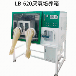 恒温培养室用路博LB-620厌氧培养箱