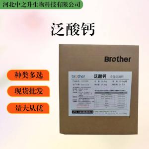 大量批發(fā)泛酸鈣 食品級 泛酸鈣