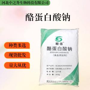 大量批發(fā)酪蛋白酸鈉 食品級 酪蛋白酸鈉