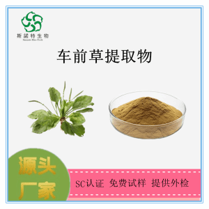 车前草浸膏 车前草流浸膏 提取液 *供应中
