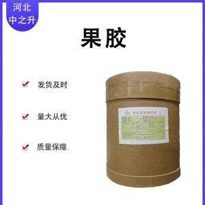現貨批發(fā)果膠食品級 果膠食品級含量99%