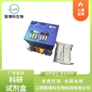 小鼠高糖基化人绒毛膜促性腺激素(h-HCG)elisa试剂盒 产品图片