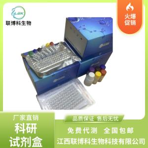 人白介素6(IL6)elisa试剂盒 产品图片