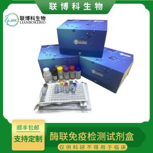 人庚型肝炎病毒IgM(HGV-IgM)elisa试剂盒 产品图片