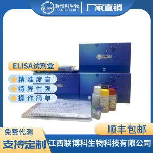 人F肌动蛋白(F-actin)elisa试剂盒 产品图片