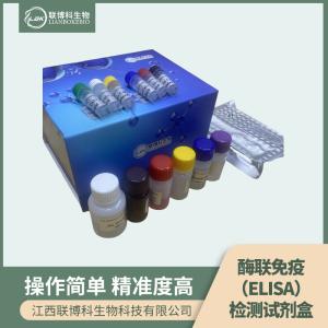 人麻疹病毒IgM(MVIgM)elisa试剂盒 产品图片