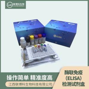 人柯萨奇病毒IgG(CoxV-IgG)elisa试剂盒 产品图片