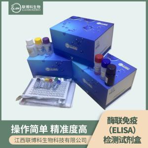 人腺病毒IgG(ADV-IgG)elisa试剂盒 产品图片