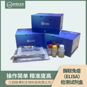 人艾柯病毒IgM(ECHOIgM)elisa试剂盒 产品图片