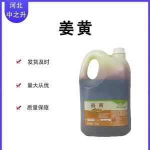 食品級姜黃色素 食品級添加劑現貨