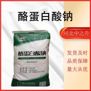 食品級酪蛋白酸鈉食用 奶酪素烘焙奶制品