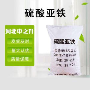 食品級 硫酸亞鐵食品硫酸亞鐵硫酸亞鐵