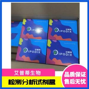 DNA甲基化修饰试剂盒（凝胶法） 产品图片