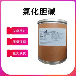 氯化膽堿 食品級 氯化膽素 營(yíng)養增補 現貨批發(fā) 量大價(jià)惠氯化膽堿
