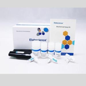Elabscience活性氧(ROS)荧光法测试盒(E-BC-K138-F)现货供应