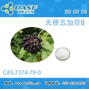 无梗五加苷B