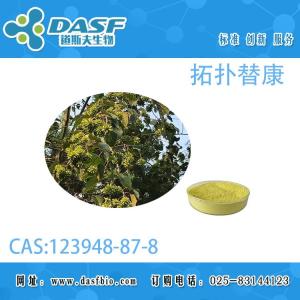 拓扑替康