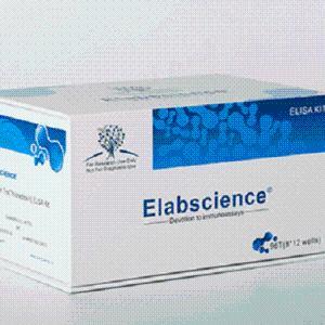 Elabscience人IL-18 Elisa试剂盒(E-EL-H0253c)现货供应